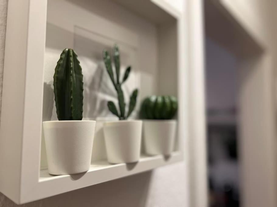 Stadtoase Design Wohnung In Der Altstadt Von Koblenz Koblenz  Kültér fotó